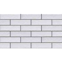 FOGGIA BIANCO STR. ELEWACJA 6.5X24.5 GAT.1
